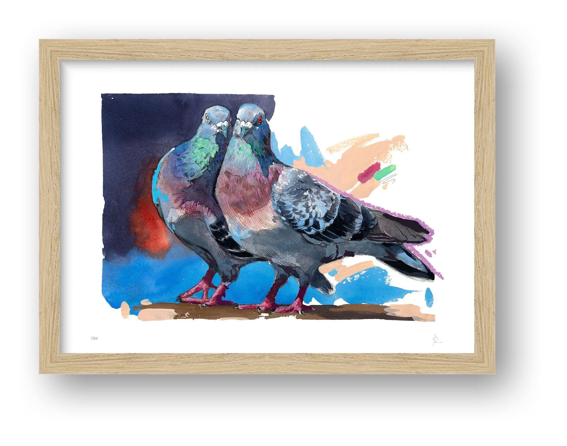 Pigeon Love — framed
